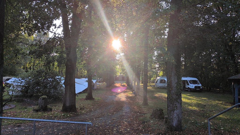Morgensonne über der Allee zwischen Zelten und Wohnmobilen